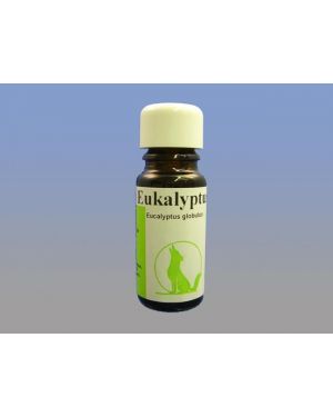 Eukalyptus, 10 ml