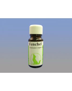 Fenchel, 10 ml