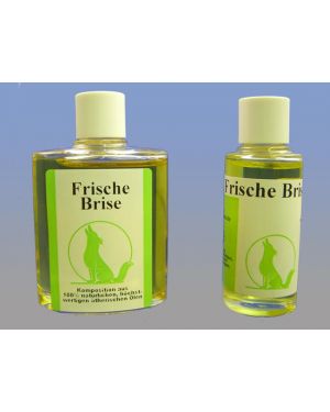 Frische Brise