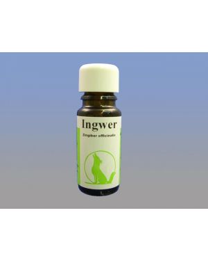 Ingwer, 10 ml