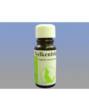 Nelkenblüte, 10 ml