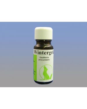 Wintergrün, 10 ml